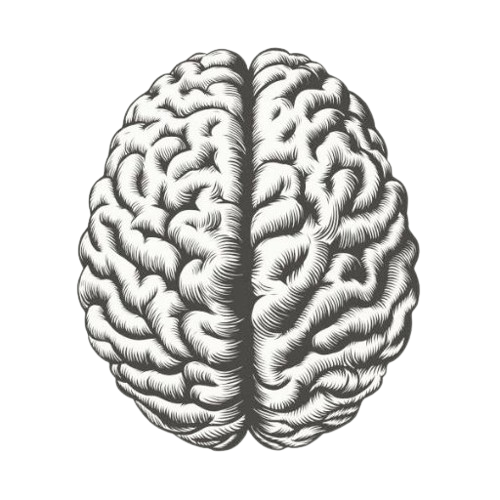 about-us visual asset block 11 2 removebg preview